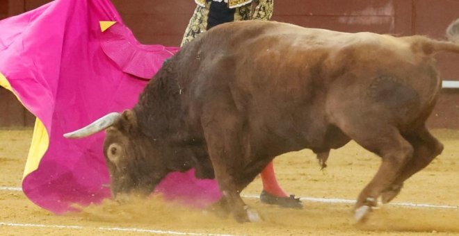 El Constitucional confirma la condena a la concejala que llamó "asesino" en Facebook al torero Víctor Barrio tras su muerte