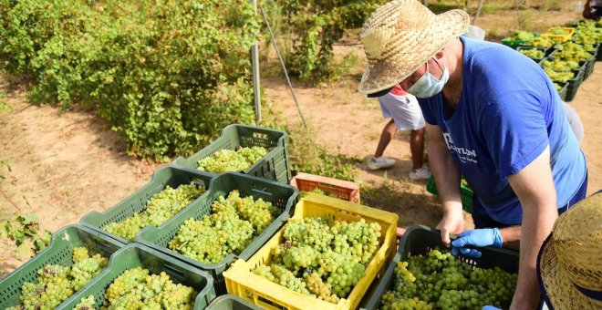 La mayor parte de las ayudas a la agricultura son perjudiciales para el medioambiente, según la ONU