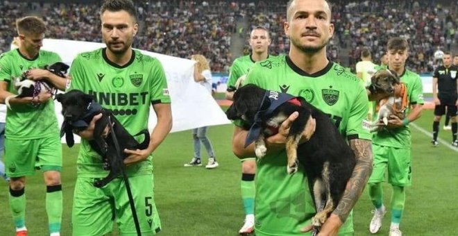 Un campaña en Rumanía fomentará la adopción de perros en la liga de fútbol