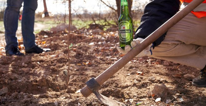 Madrid recupera un ecosistema natural clave gracias al Proyecto Jarama de Heineken