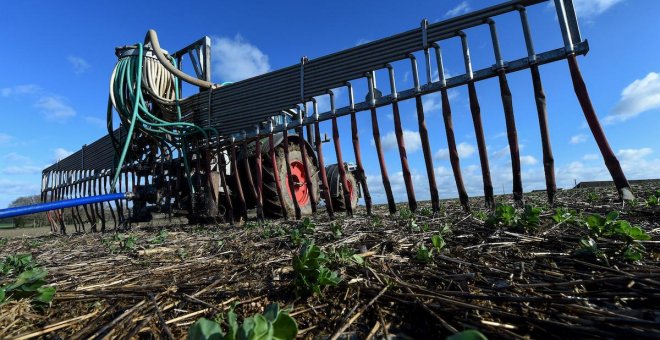 ¿Qué tiene de positivo, y de negativo, el creciente uso de purines en la agricultura?