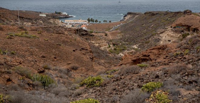 El Gobierno de Canarias paraliza de forma cautelar las obras del macroproyecto turístico de Cuna del Alma por la presencia de la viborina triste