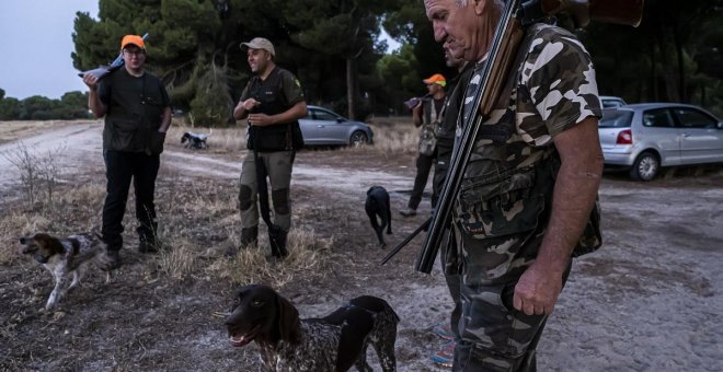 Unidas Podemos mueve ficha para proteger a los perros de caza con una enmienda a la Ley de Bienestar Animal