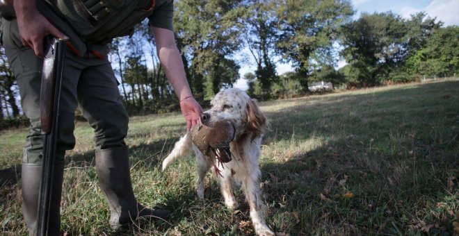 UP y PSOE no logran un acuerdo sobre los perros de caza y aplazan la tramitación de la ley