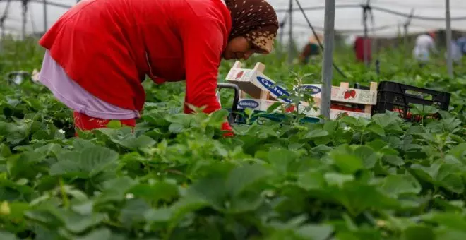 Las temporeras marroquíes de la fresa ya son trabajadoras indefinidas gracias a la reforma laboral