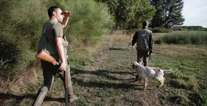 Juristas cuestionan la discriminación de los perros de caza de la Ley de Bienestar Animal