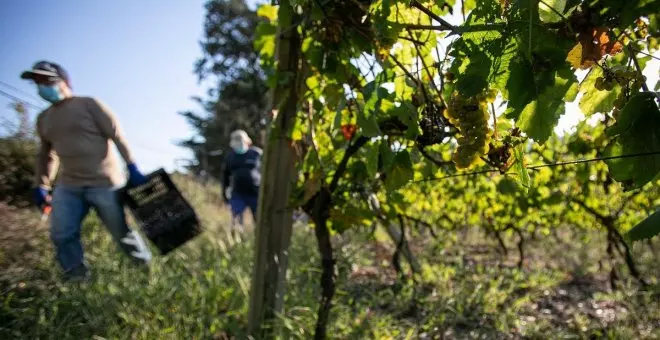 La sequía acorta las campañas agrícolas y empieza a causar estragos en el empleo campesino