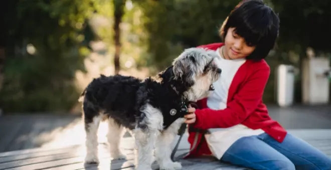 Ofertas para ahorrar este Día Mundial del perro 2023