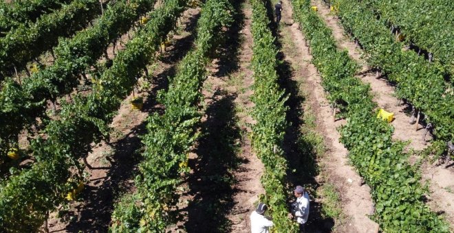 La cara oculta de la PAC: ayudas agrarias para cotos de caza, cadenas de supermercados y constructoras