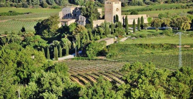 DO Conca de Barberà: innovació i estima per la terra