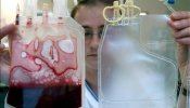 Más de 9.000 españoles envían la sangre de cordón umbilical al extranjero