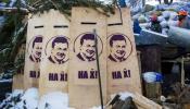 El Parlamento ucraniano pide que Yanukóvich sea juzgado en La Haya