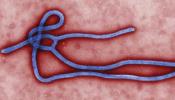 El virus ébola se extiende a Liberia