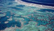 Los expertos alertan que la Gran Barrera de Coral se encuentra en su peor estado de conservación