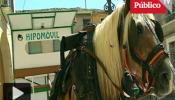 Un pueblo alicantino recupera el carro de caballos para recoger la basura