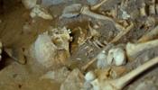 Los Homo Sapiens de Atapuerca, emparentados con pobladores de Oriente Próximo y Alemania