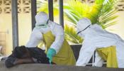 Una empresa gaditana asegura que podría disponer de la vacuna contra el ébola