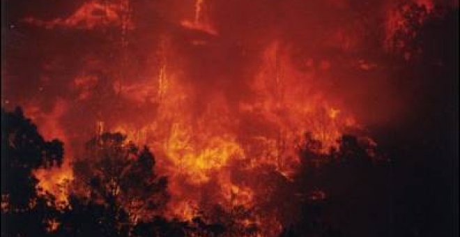 Los incendios forestales cada vez son más grandes y frecuentes