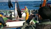 Tour por las jaulas del atún rojo