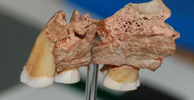 Los restos de sapiens más viejos de Europa