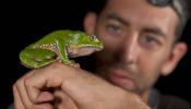 365 nuevas especies descubiertas en la selva peruana