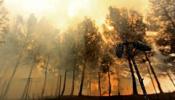 Greenpeace relaciona la fuerza de los incendios con el cambio climático