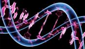 El ADN "basura" resulta ser información útil e importante