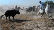 Volante muere en Tordesillas tras ser lanceado durante 20 minutos