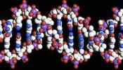 Publicado el primer mapa de las mutaciones del ADN que afectan a la salud