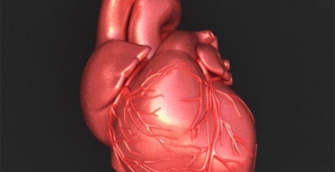 Transforman las células de la piel en células del corazón maduras