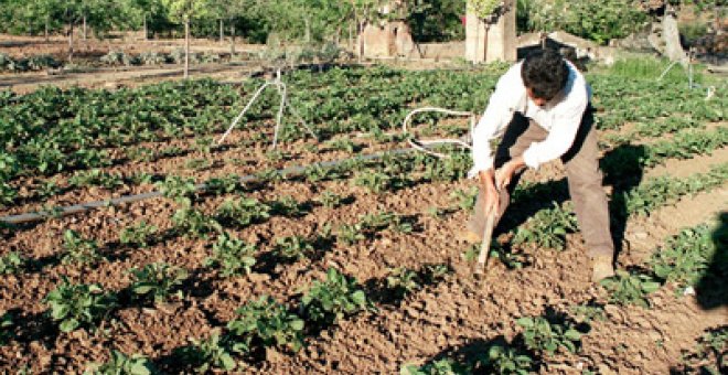 Rajoy acude a la cumbre europea resignado ante los recortes en las ayudas agrícolas