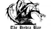 Los 'piratas' catalanes alojarán la web de descargas 'The Pirate Bay'