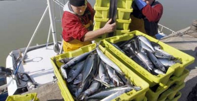 España, sancionada por la Comisión Europea por sobrepesca de caballa en 2009