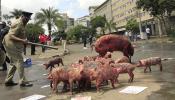 Los indignados kenianos rodean con cerdos el Parlamento contra los privilegios de los políticos