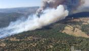 El delegado territorial asegura que el incendio de Cebreros fue provocado