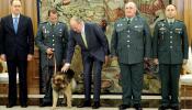 Muere Ajax, el perro policía condecorado por el rey