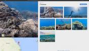 Google bucea por los siete mares con Street View Océanos