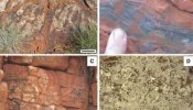 Hallan en Australia la evidencia más antigua de vida en la Tierra