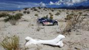 Mueren dos periodistas argentinos mientras cubrían el Rally Dakar