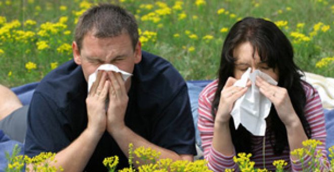 El ataque de la alergia se globaliza