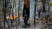 Rusia consigue sofocar la mitad de los incendios