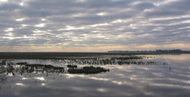 Andalucía irá a juicio para frenar el deslinde en Doñana