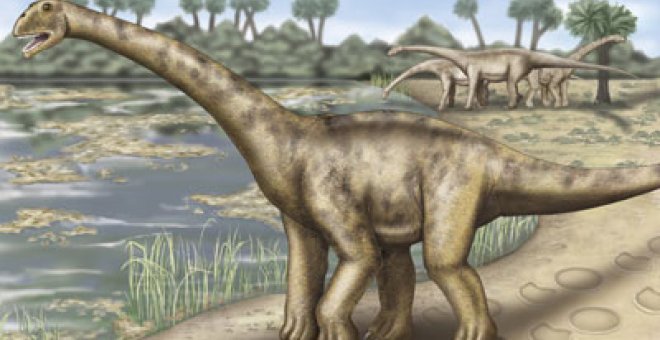 Hallado en Teruel el dinosaurio más grande de Europa