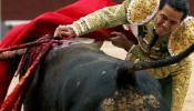 Asturias debatirá una iniciativa para prohibir los toros