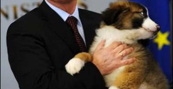 Putin busca un nombre para su perro