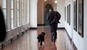 Obama destaca en Lisboa las "raíces portuguesas" de su perro, Bo