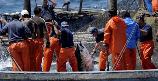 Arranca la guerra del sushi