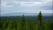 Los bosques ibéricos miran al norte de Europa