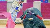 El Congreso rechaza las corridas de toros en TVE