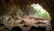 Un ave gigante habitó Flores junto al 'hobbit'